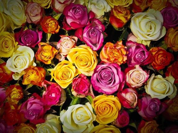 Bouquet de roses