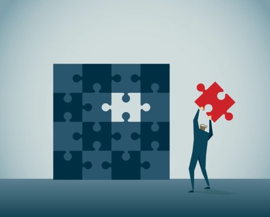manager de transition