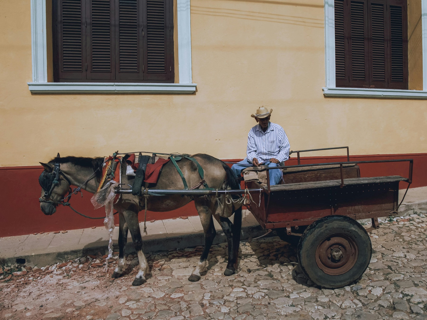 le cheval a surtout ete utilise comme animal de trait