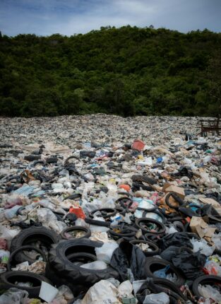 Décharge remplie de déchets plastiques et pneus devant une forêt verte