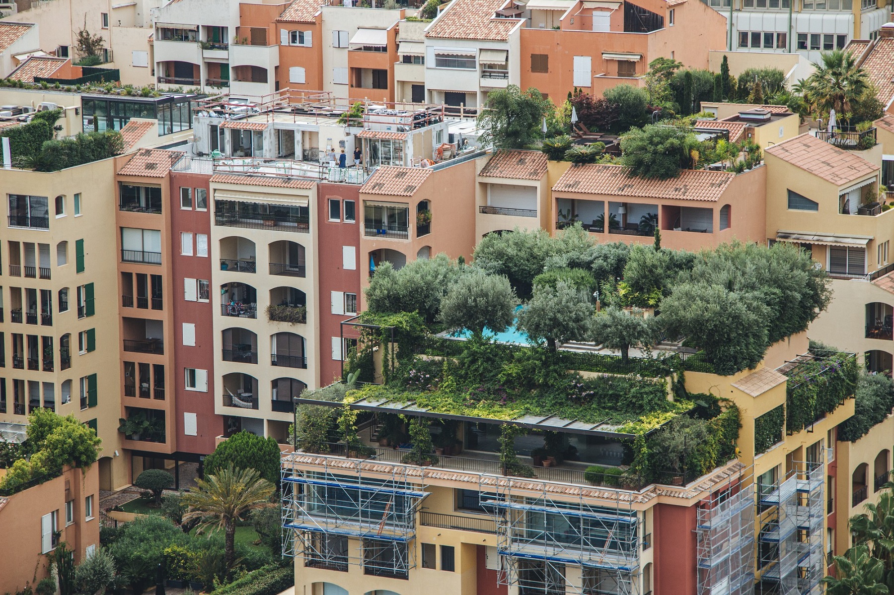 Immeubles avec jardin sur le toit