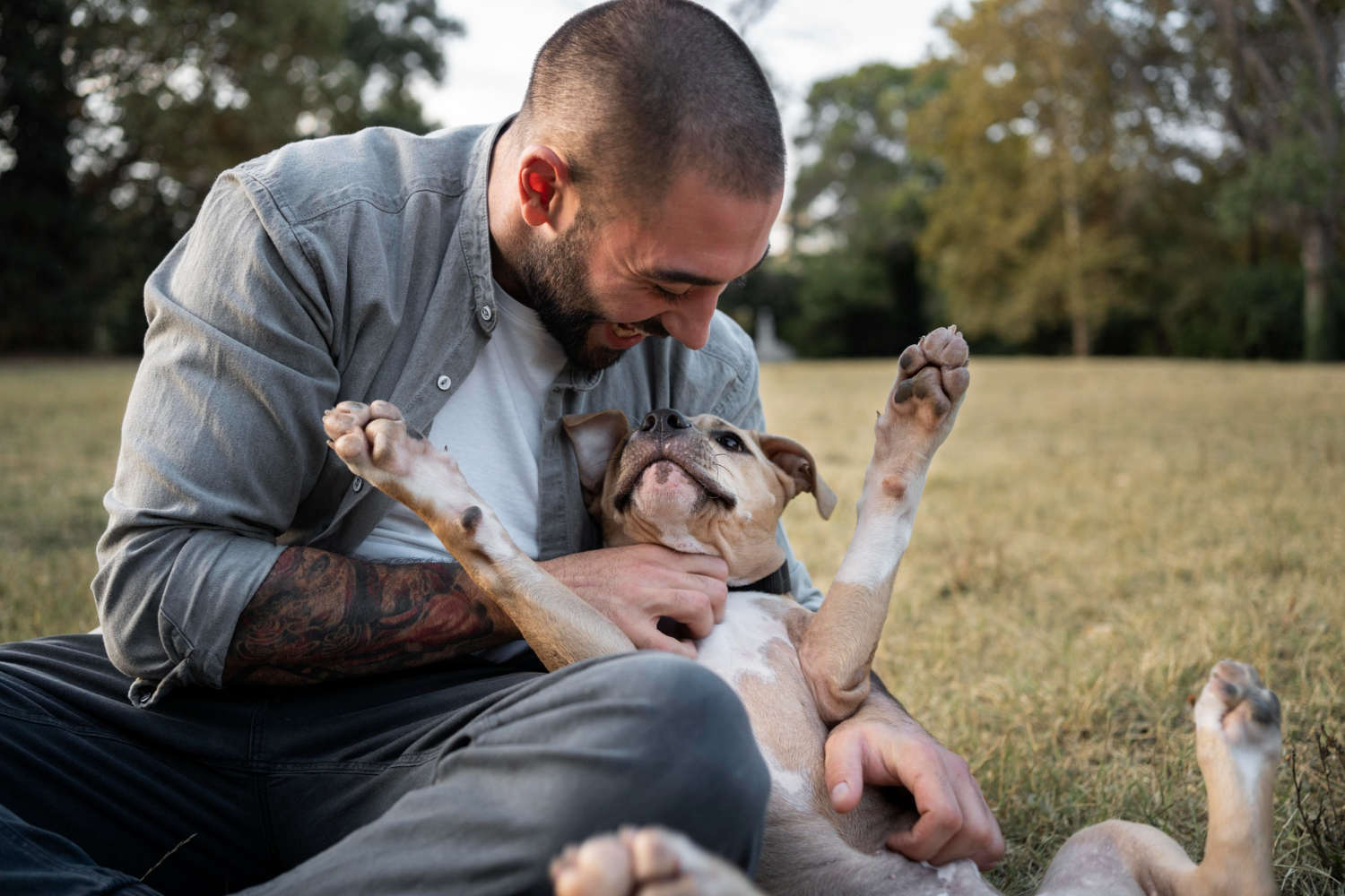 Homme jouant avec son chien dans un parc