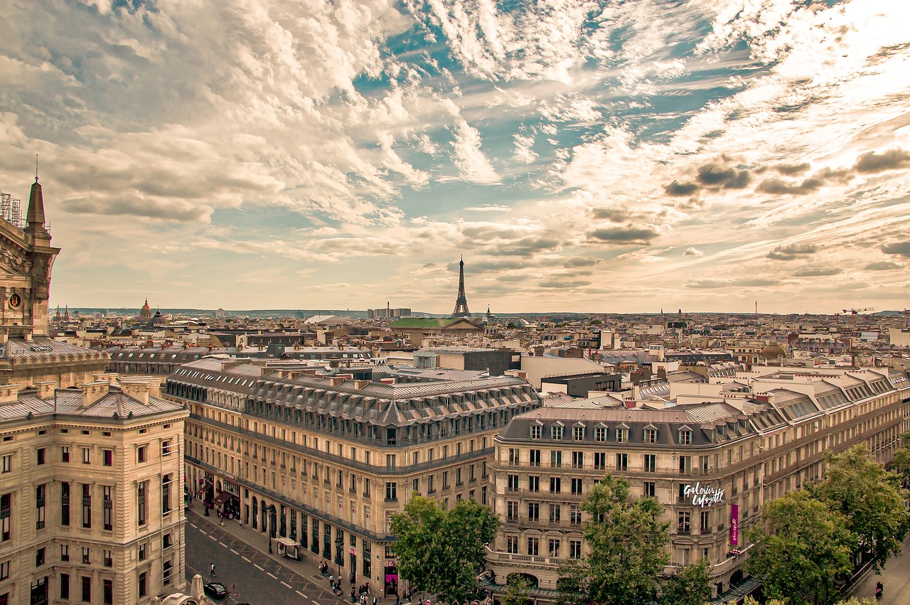 Vue panoramique sur les toits de Paris et la Tour Eiffel